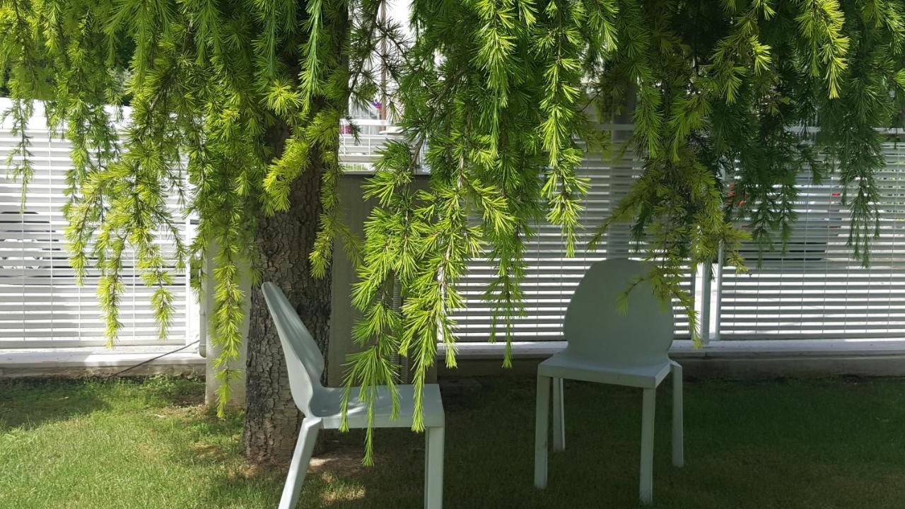 B&B "Al Colle 11" Fano Zewnętrze zdjęcie