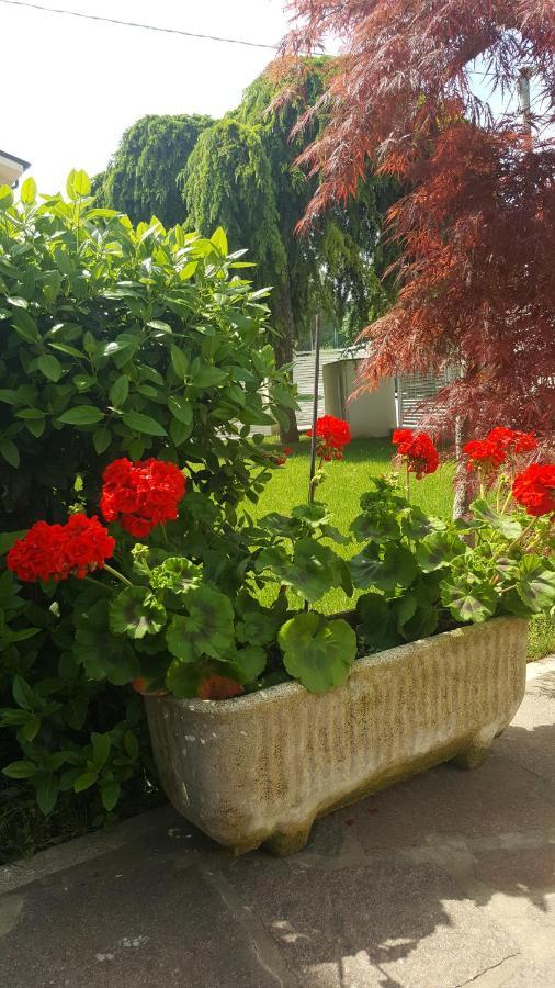 B&B "Al Colle 11" Fano Zewnętrze zdjęcie